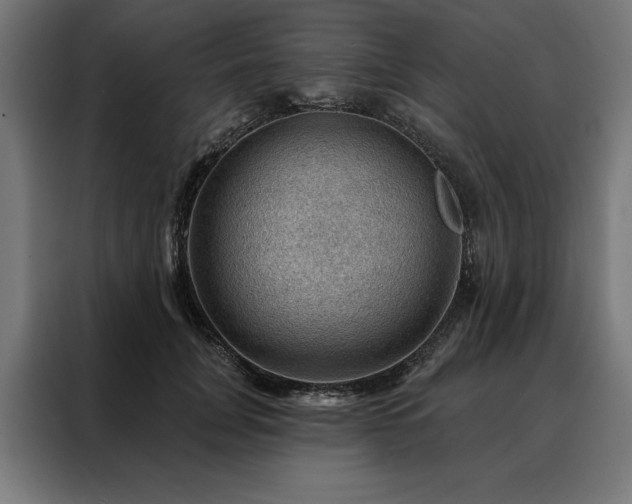 X0000088160751200705221600