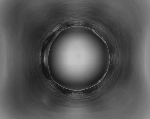X0000088160752200705221600