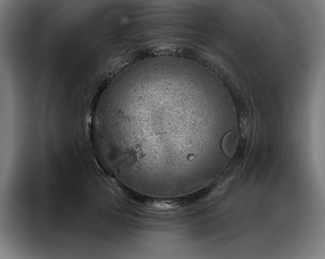 X0000088160753200705221600