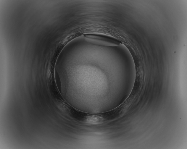 X0000088160754200705221600