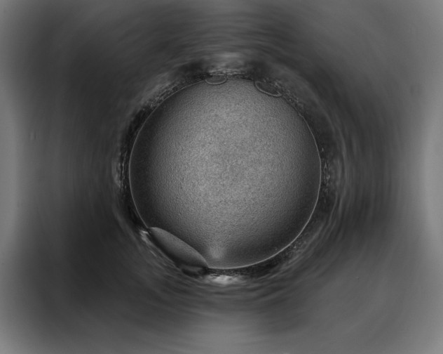 X0000088160755200705221600