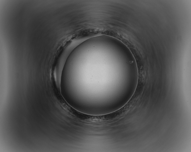 X0000088160756200705221600