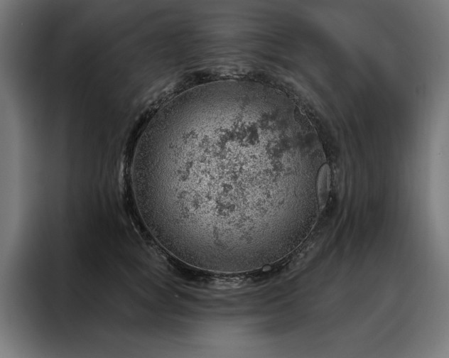 X0000088160757200705221600