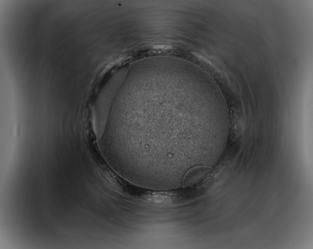 X0000088160758200705221600