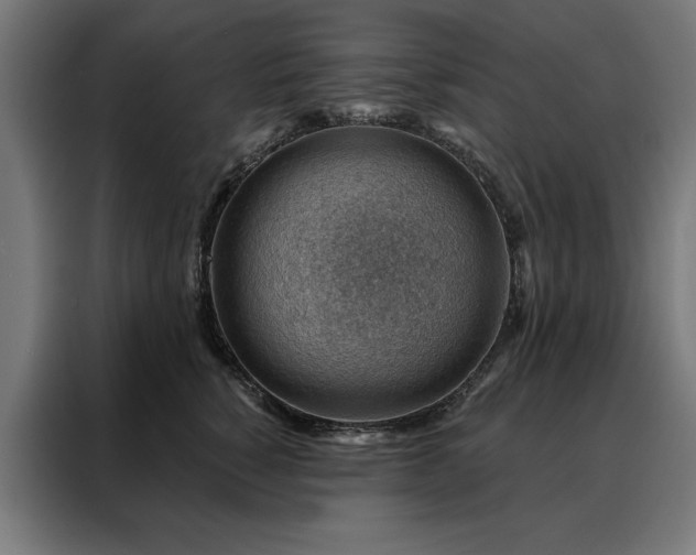 X0000088160760200705221600