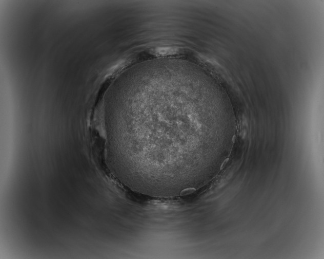 X0000088160763200705221600