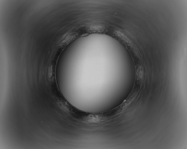 X0000088160764200705221600