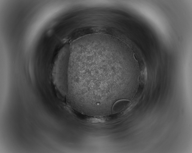 X0000088160765200705221600