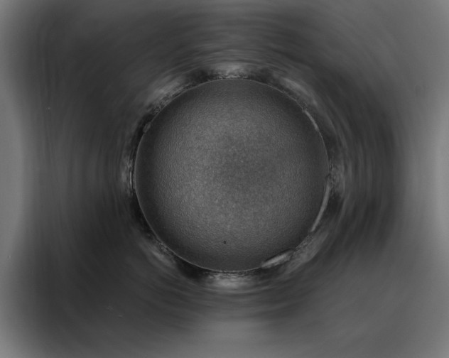 X0000088160766200705221600