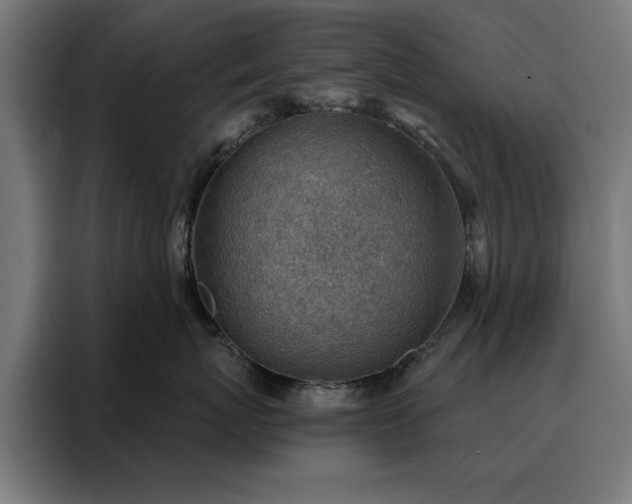 X0000088160767200705221601