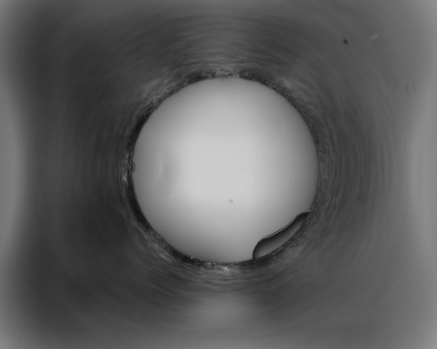 X0000088160768200705221601