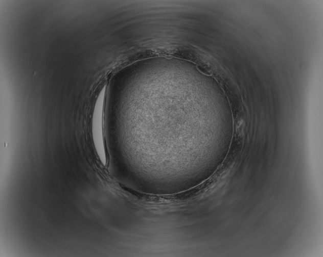 X0000088160772200705221600