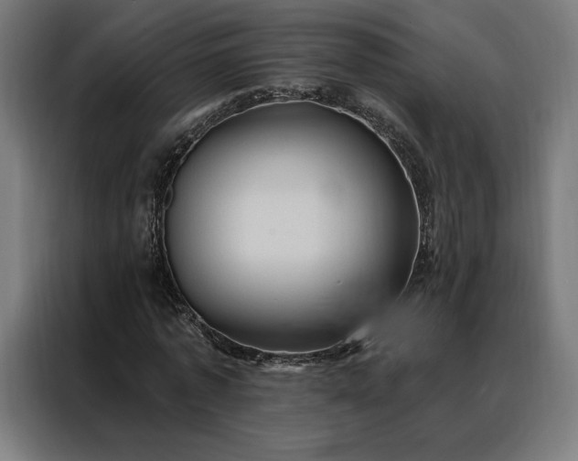 X0000088160773200705221600