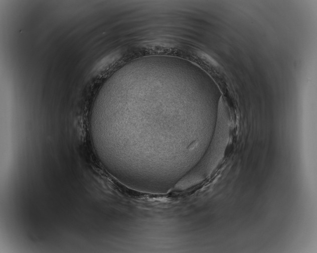 X0000088160774200705221600