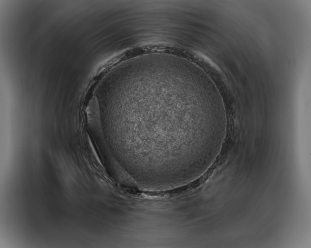 X0000088160775200705221600