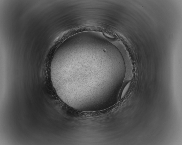 X0000088160776200705221600