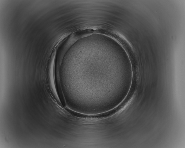 X0000088160777200705221600