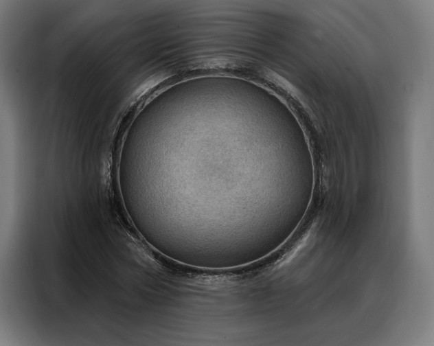X0000088160778200705221600