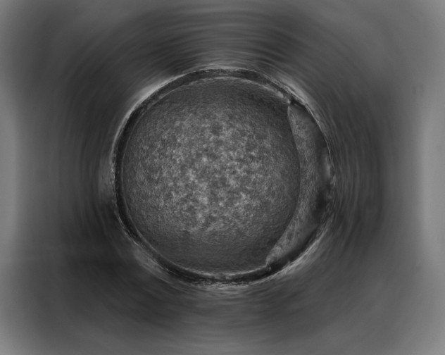 X0000088160779200705221600