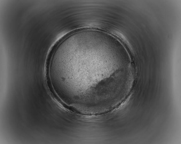 X0000088160780200705221600