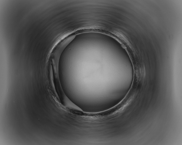 X0000088160781200705221600