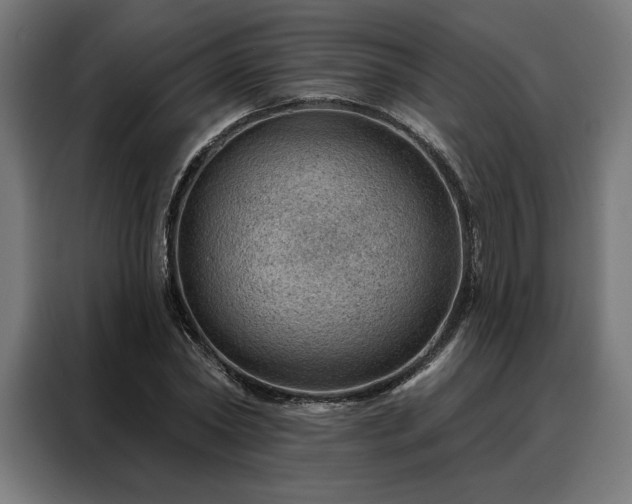X0000088160782200705221600