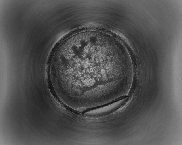 X0000088160783200705221600