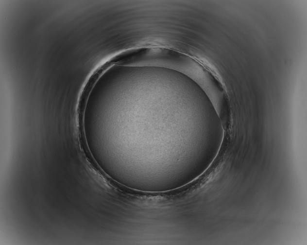 X0000088160784200705221600