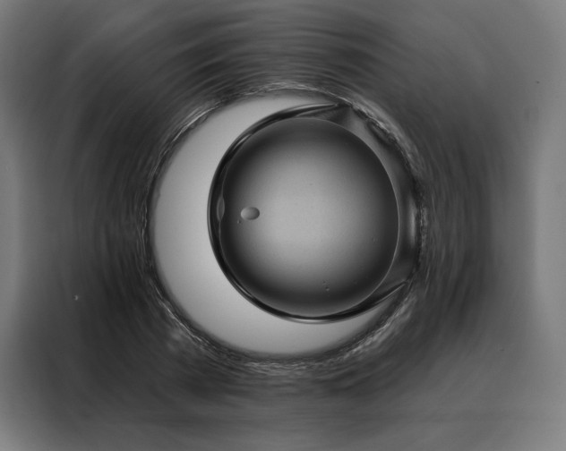 X0000088160785200705221600