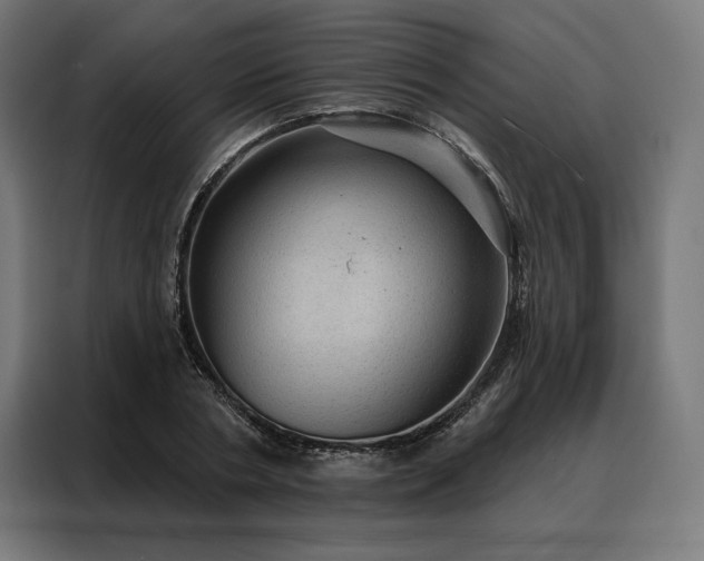 X0000088160786200705221600