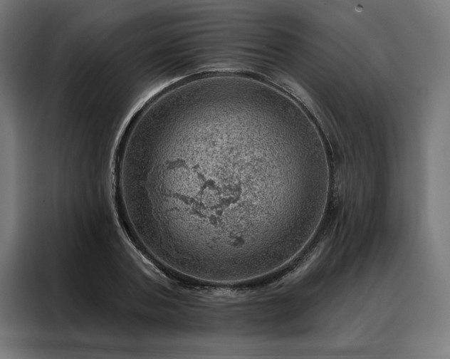 X0000088160787200705221600