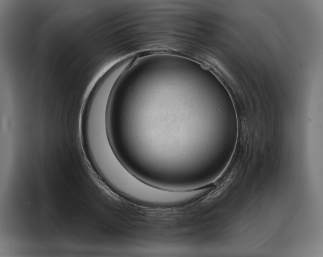 X0000088160788200705221600