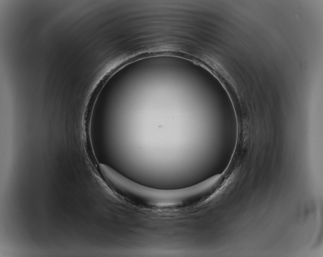 X0000088160789200705221600