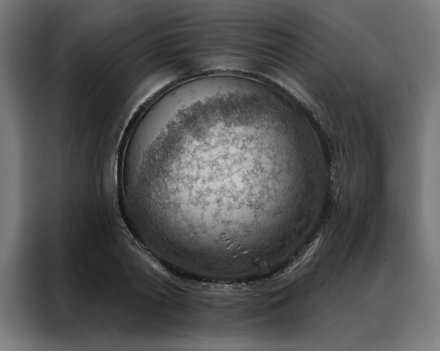 X0000088160790200705221600