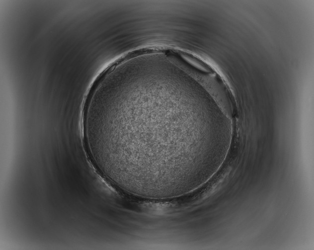 X0000088160791200705221600