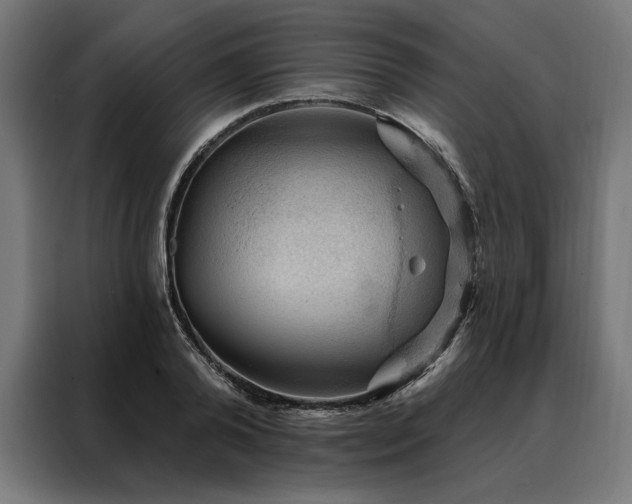 X0000088160792200705221600