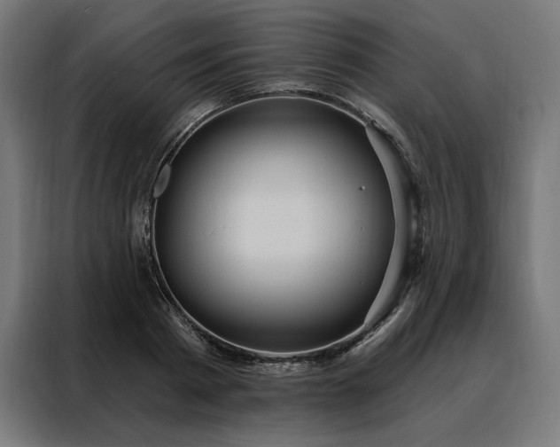 X0000088160793200705221600