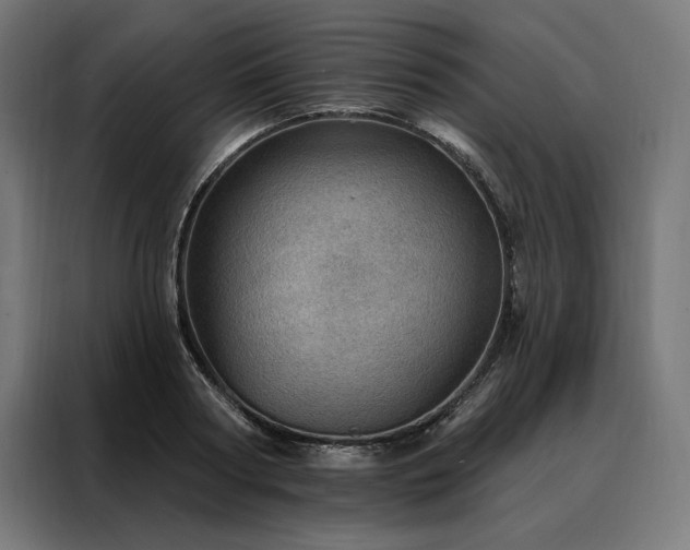 X0000088160794200705221600
