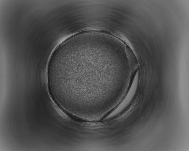 X0000088160795200705221600