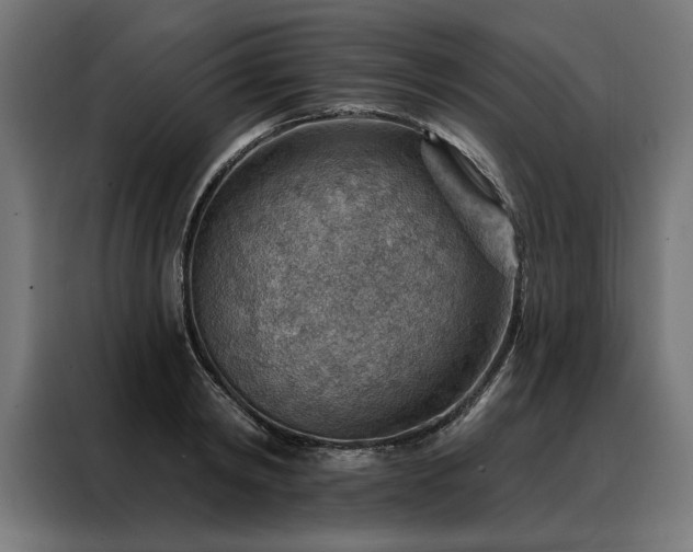 X0000088160798200705221600