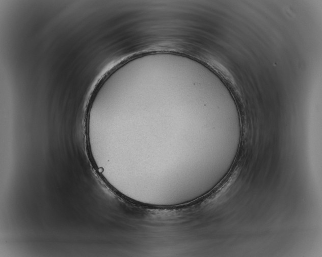 X0000088160800200705221559