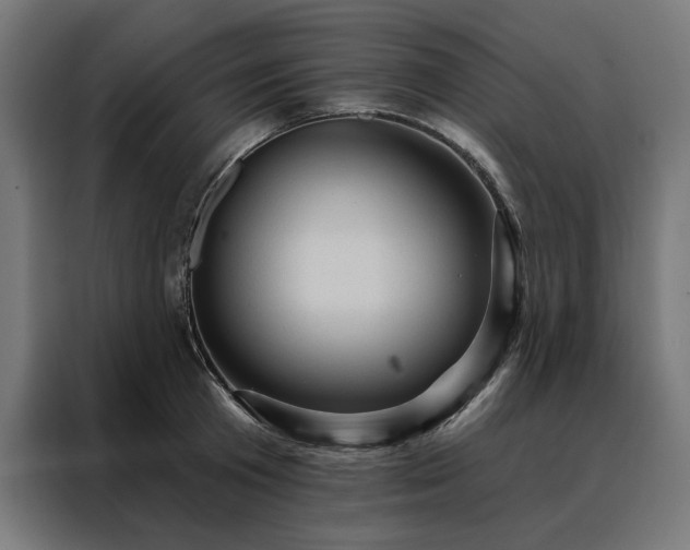 X0000088160801200705221559