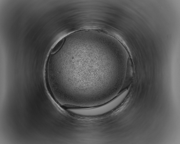 X0000088160803200705221559