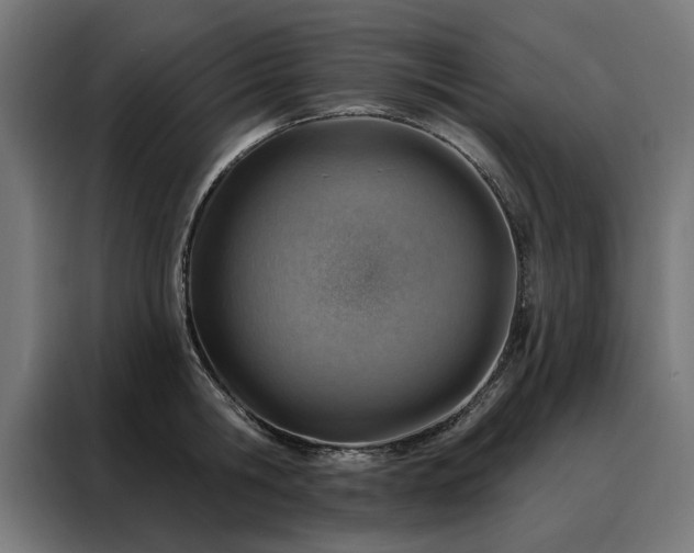X0000088160806200705221559