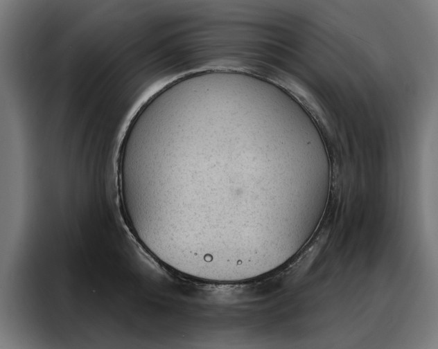 X0000088160808200705221559