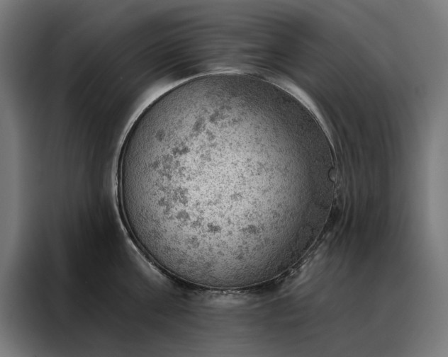 X0000088160811200705221559