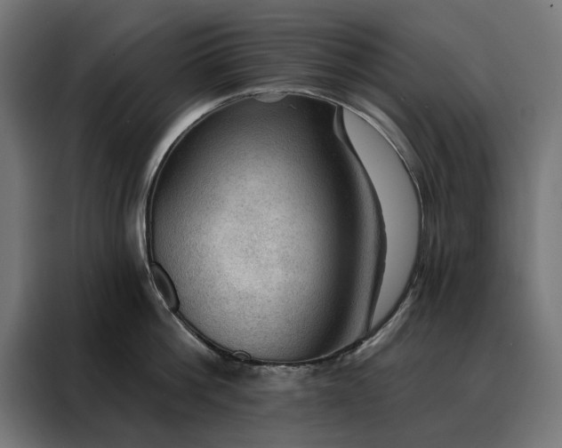 X0000088160812200705221559