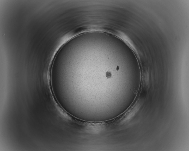X0000088160813200705221559