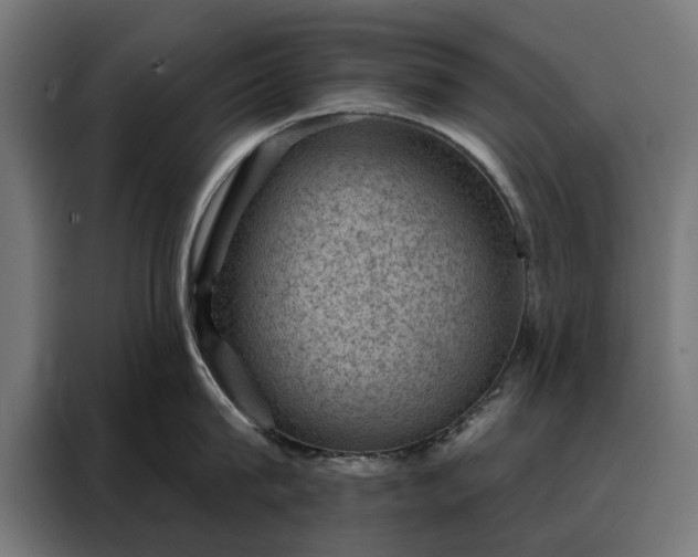 X0000088160815200705221559