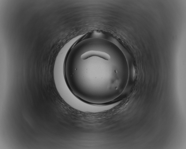 X0000088160818200705221559